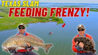 Catching TEXAS SLAM in INSANE Feeding Frenzy!