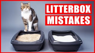 You’re Setting Up Your Litter Box All Wrong! (Biggest Litter box Mistakes) screenshot 4