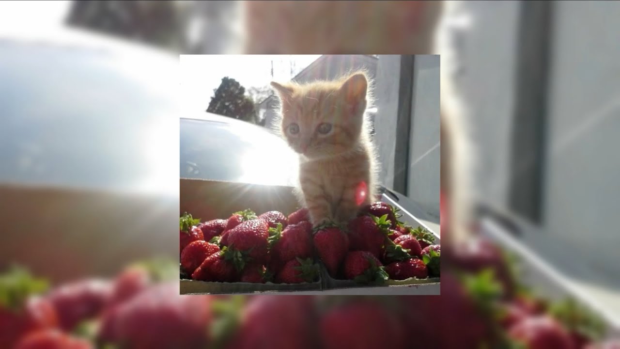 плейлист из твоего детства