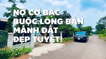 Chỉ nhỉnh 1 tỷ cho vườn trái cây ở BR-VT 100% thổ cư đẹp miễn chê (ĐÃ NHẬN CỌC)