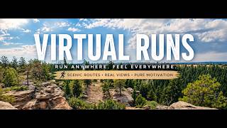 50-Minute Scenic Trail Run | Virtual Treadmill Workout | Colorado Trails