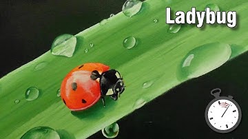 Still life painting tutorial - How to paint insects - ladybug time lapse in oil
