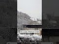 Бес қонақ Алматыға келді | Short news