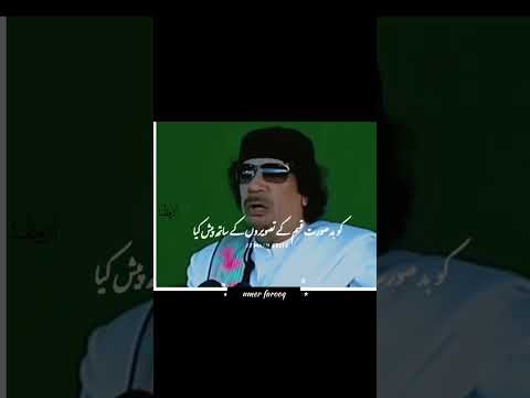   3508 معمرالقذافي ض2د