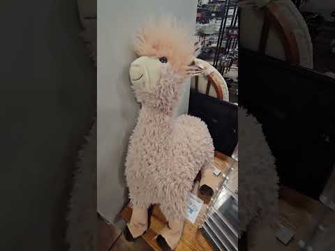 Marc By Marc Jacob S Thrift Find At Goodwill 