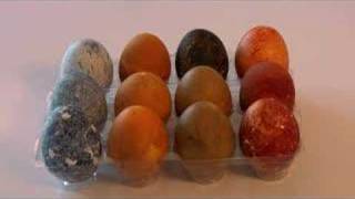 Famous Naturally Dyed Easter Eggs (A Curbly Video Podcast). Net Worth