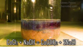 CoCl2 + 2NaOH → Co(OH)2 + 2NaCl | Реакция хлорида кобальта(II) и гидроксида натрия