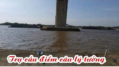 Câu cá cầu Mỹ lợi đêm cuối tuần /Night fishing in Vietnam