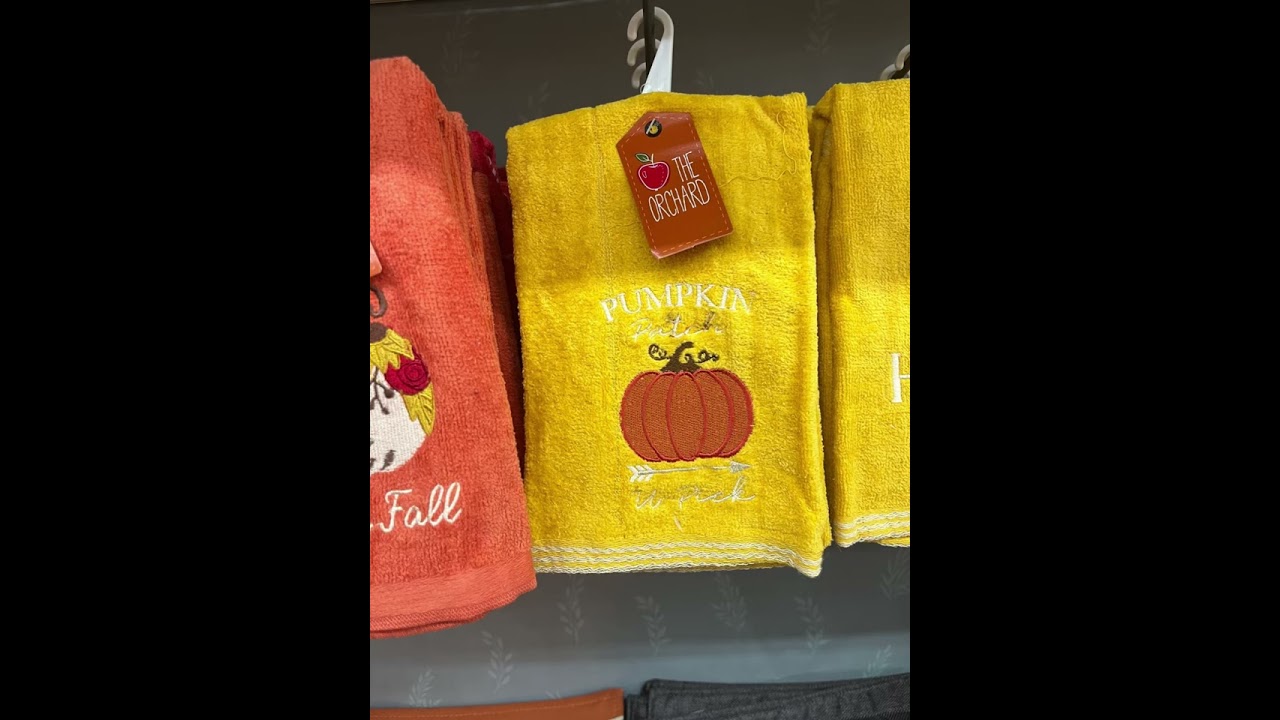 Big Lots Fall Decor Shop with Me!