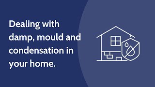 Understanding damp, mould and condensation in your home by South Liverpool Homes 540 views 1 year ago 1 minute, 30 seconds
