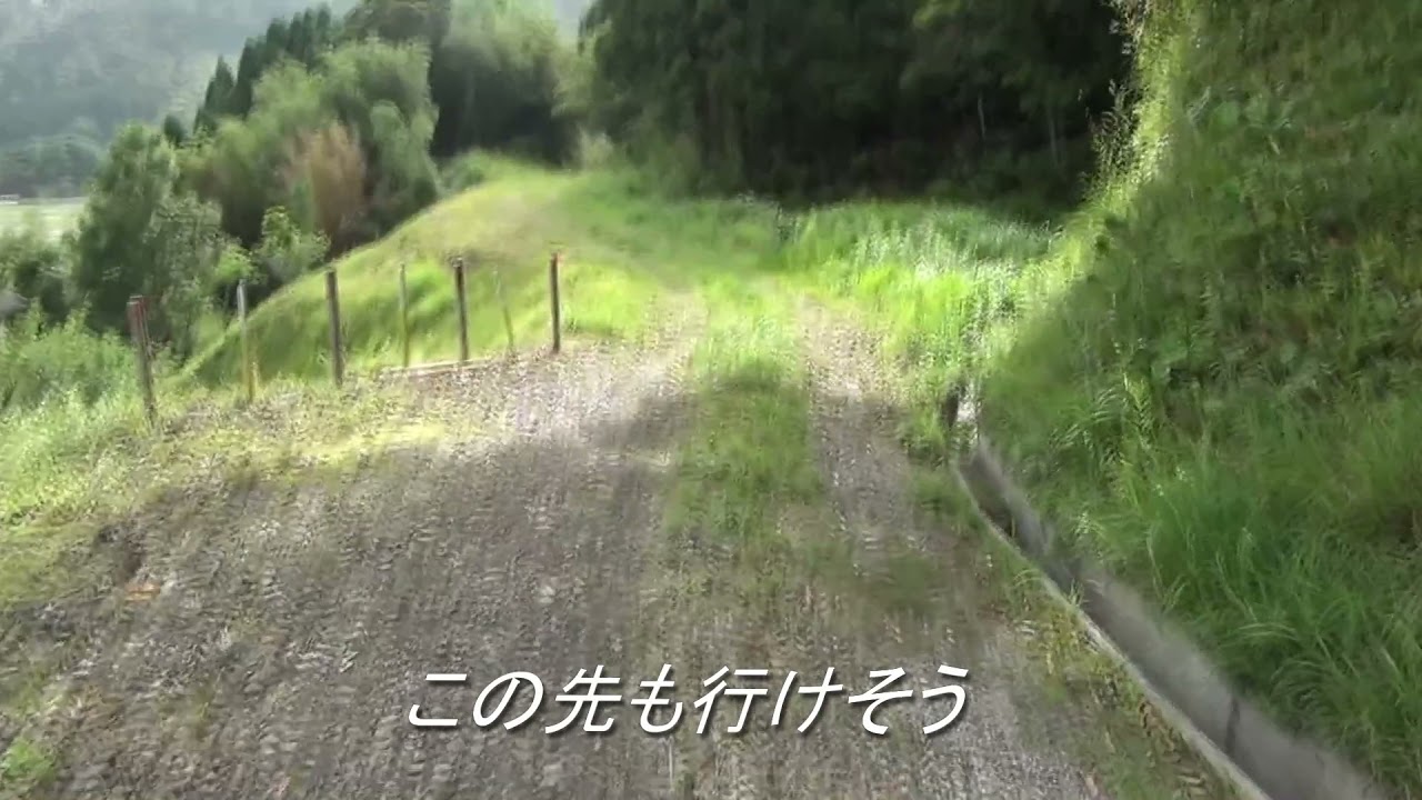 鹿児島交通枕崎線廃線