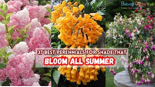 37 Best Perennials for Shade That Bloom all Summer screenshot 3