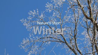 Natures Short, Winter