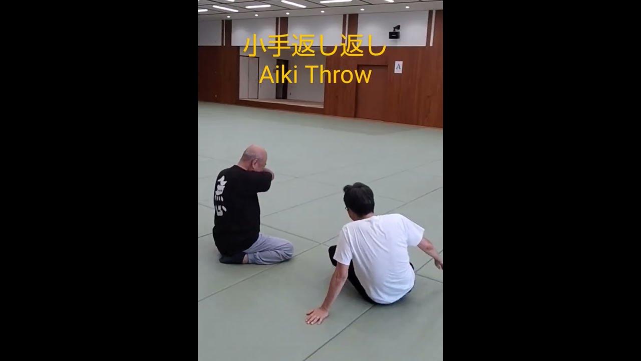 小手返し返し：内部の力の伝達：合気の技術 Counter technique to wrist turn Aiki Technique 