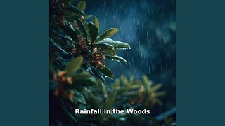 Rainfall in the Woods Motion, Pt.7