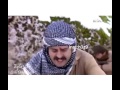 شيلات الارض الطيبه