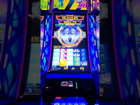 Wolf Fang - Underworld | Golden Nugget casino in a there hotel room