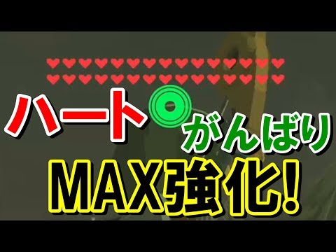 ゼルダbotw マックス薬のレシピ 効果 入手方法まとめ ブレスオブザワイルド ブレワイ 攻略大百科