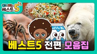 윌크와 초코의 베스트5 | 1시간 몰아보기! | 전편 모음집 | 애니메이션/만화/디저트/animation/cartoon/dessert