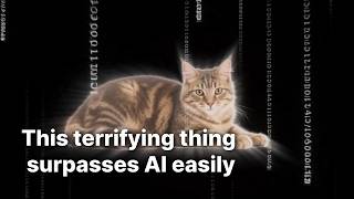 We Just Built a Computer Out of Human Brain Cells.
