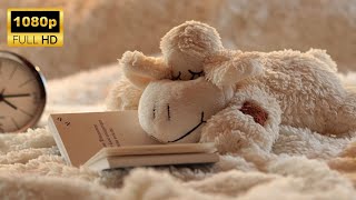 Escape to Cozy Corners: A Relaxing Study Break with Halal Beats & Rain