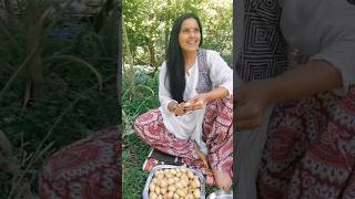 Aloo Chaat Himachal ke khet se| Organic Aloo Chaat | Aloo Recipe