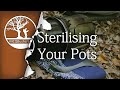 Bushcraft Containers: Washing & Sterilising