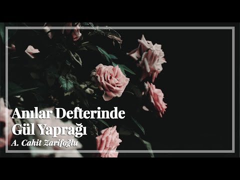 Anılar Defterinde Gül Yaprağı | Cahit Zarifoğlu