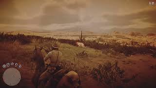 Hunting A Cougar In RDR2