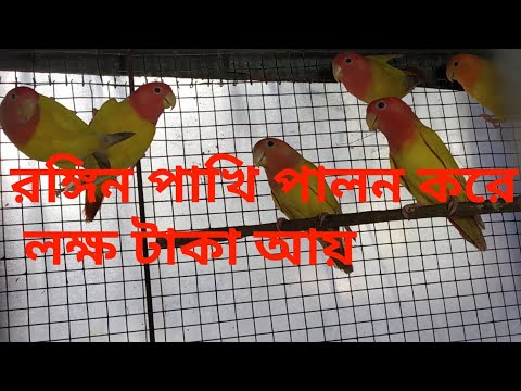 ভিডিও: আপনি পালক প্রাণী যত্ন জন্য প্রস্তুত?