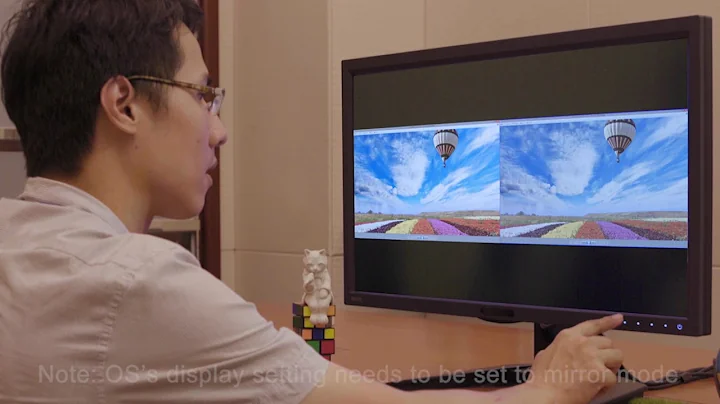 Professional Monitors - GamutDuo