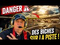 👉 “DES BICHES SUR LA PISTE 😳 J’AI FAIT QUOI ?!”