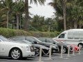Rolls Royce's in Palm Beach