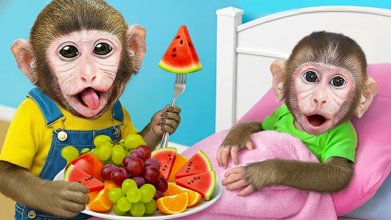 Monkey MoMo & Monkey Nana Drive a Tractor, Take Care of Baby Monkey and Prepare Delicious Fruits