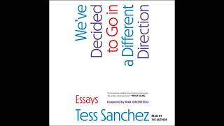 We've Decided to Go in a Different Direction: Essays - Tess Sanchez