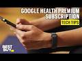 Google Health Premium Subscription for the Google Fitbit Air – Tech Tips from Best Buy