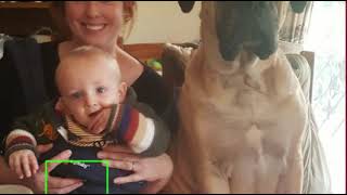 Sliding Window for object recognition
