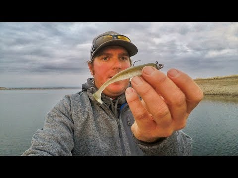 Winter Video