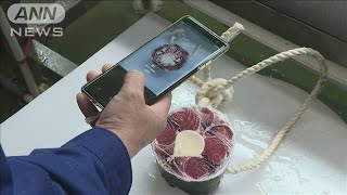 寿司ネタのマグロ選びはAIで　ここにもコロナの影響(20/07/07)
