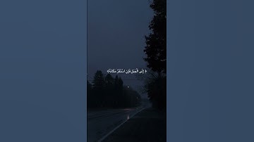 أجمل حوار بين النبي موسى والله سبحانه وتعالى 😭🌸|قرآن كريم