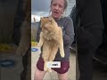 Secret Cat in Backpack? Fluffy Horse & Surprise Reveal.