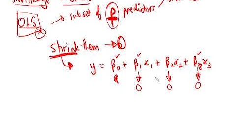 Introduction to Shrinkage Methods