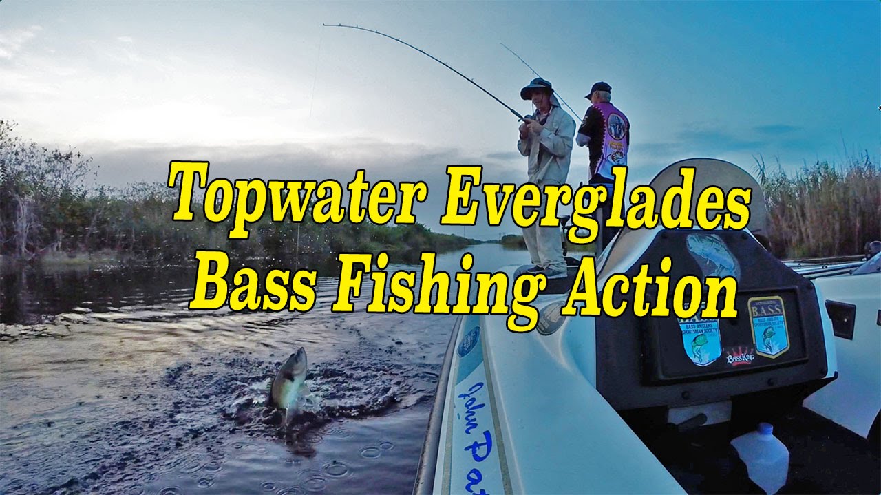 Everglades Bass Fishing Guides Awesome Topwater At Sunset Preview YouTube