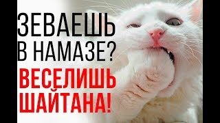 Зевание в намазе - СМЕХ ШАЙТАНА?