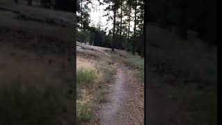 Video of Charlton Flat picnic site , CA from Jessica P.