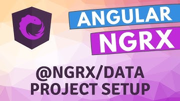 51. Setup new Project for Ngrx Data. Install all ngrx dependencies for ngrx data in Ngrx Angular App