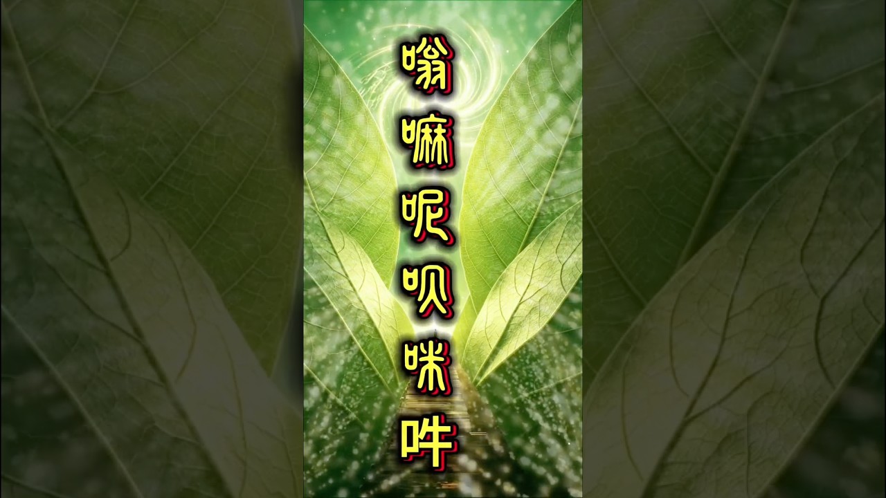 禅意生活- YouTube