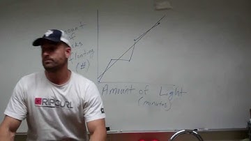 discussion section, part 1