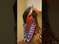Fotos Raras Que Tienes Que Ver 89 #raras #fotos #fotosraras