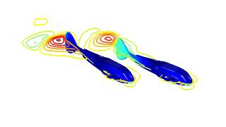 Two Carp-Like Fish Robot with Leader-Follower Formation